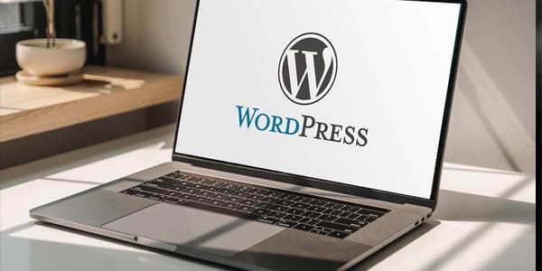 wordpress and theme design